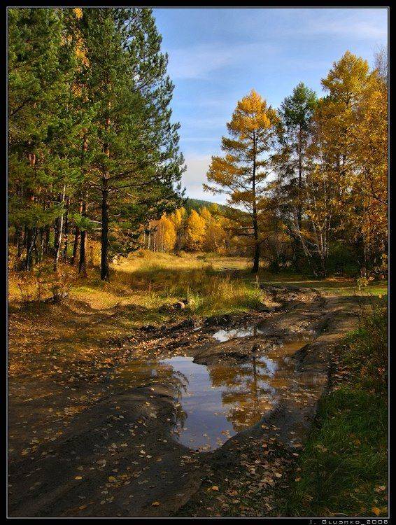 осень, лес, горы, лужа, бурятия, Игорь Глушко