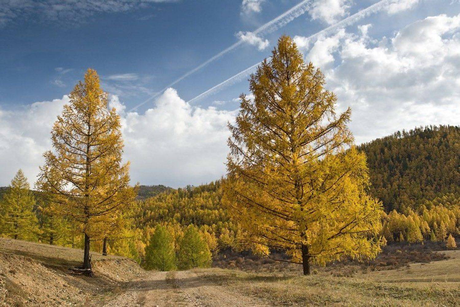 бурятия, осень, Олег Шубаров