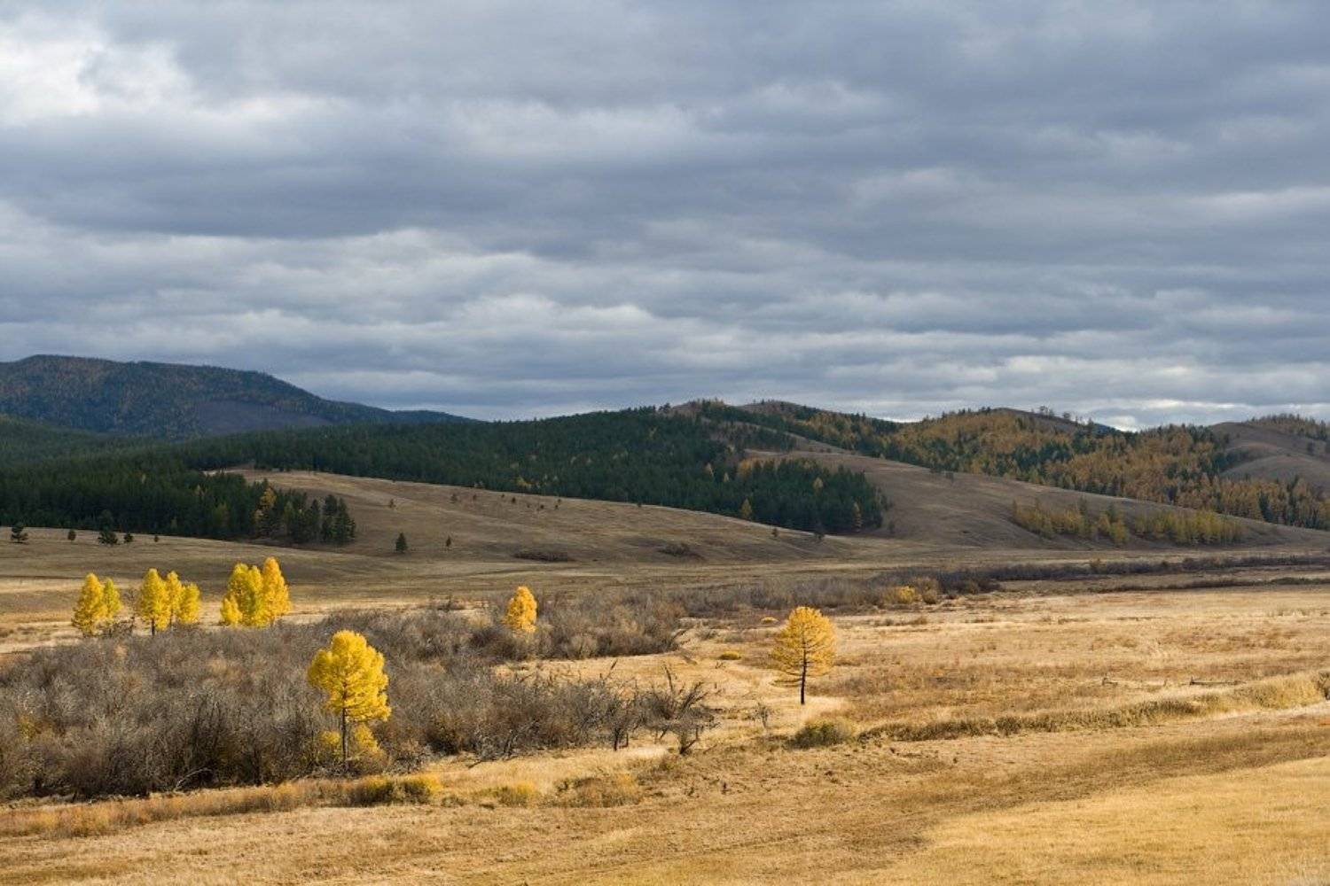 бурятия, осень, река, ира, Олег Шубаров