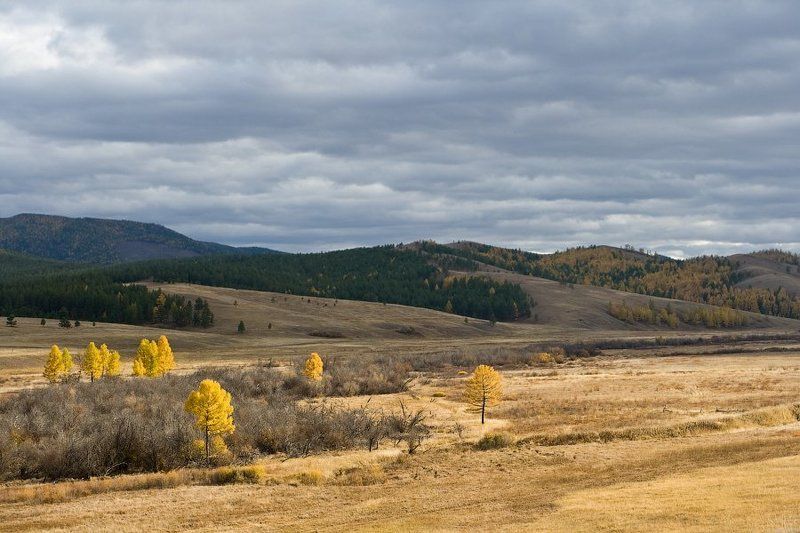 бурятия, осень, река, ира * * * фото превью