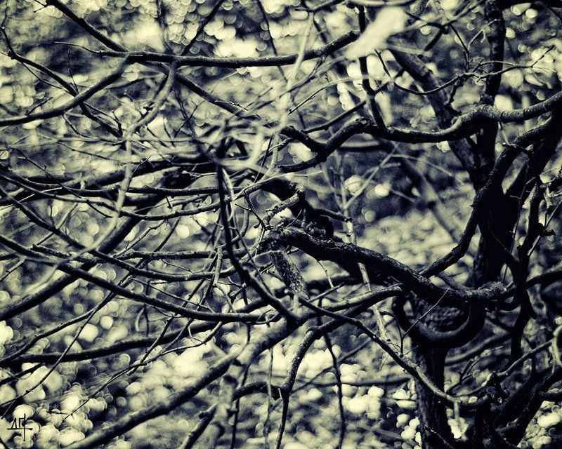 Осенняя фото превью