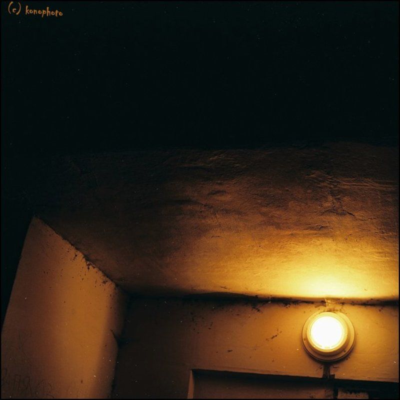 пленка, 6х6 _фрагменты подьезда /из серии коты и ночь/ фото превью