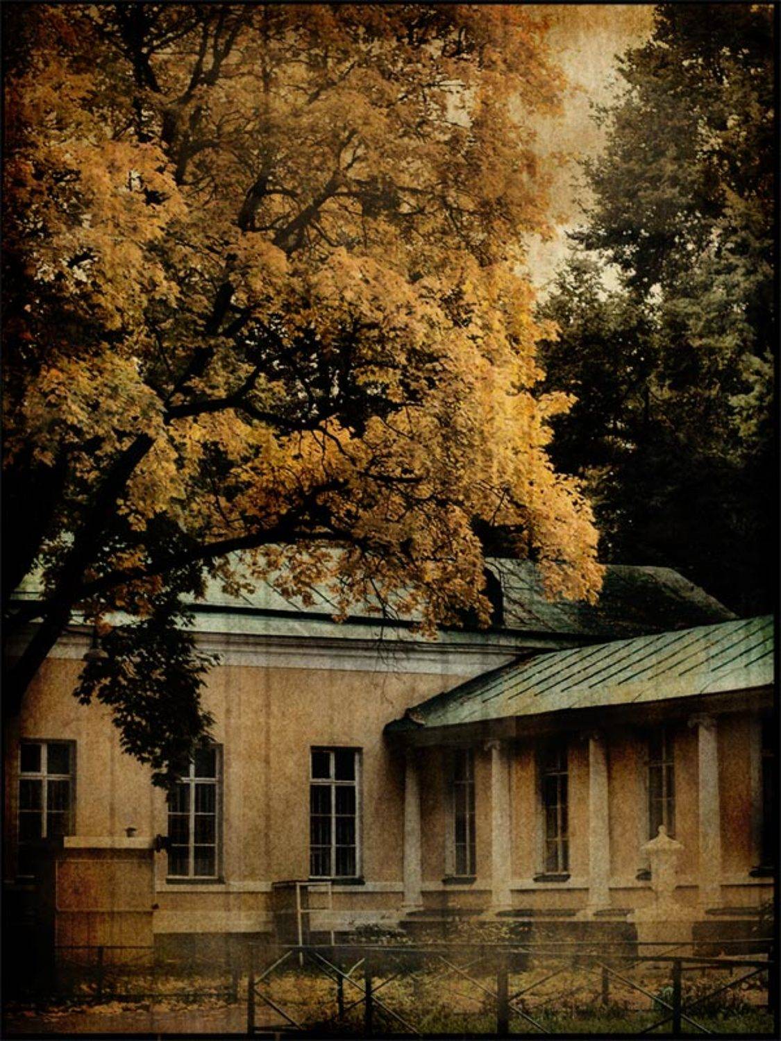 , Наталья Захарова