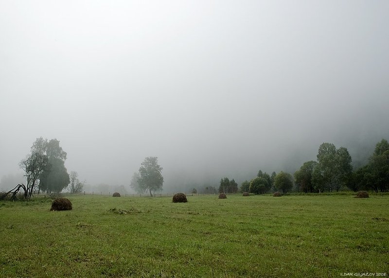 урал, туман, утро, поле *** фото превью