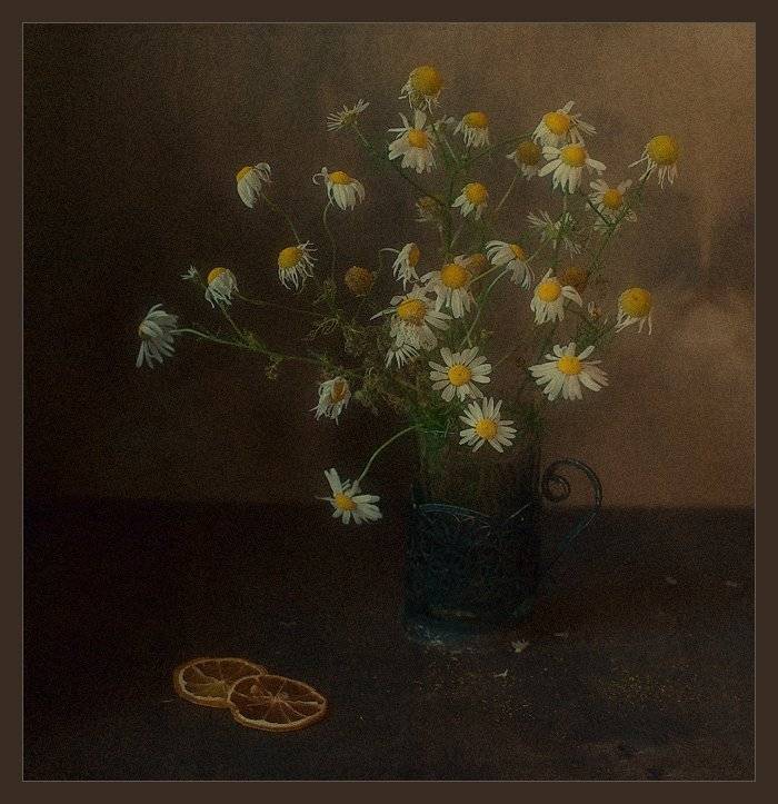 осень, ромашки, грусть..., Ирина