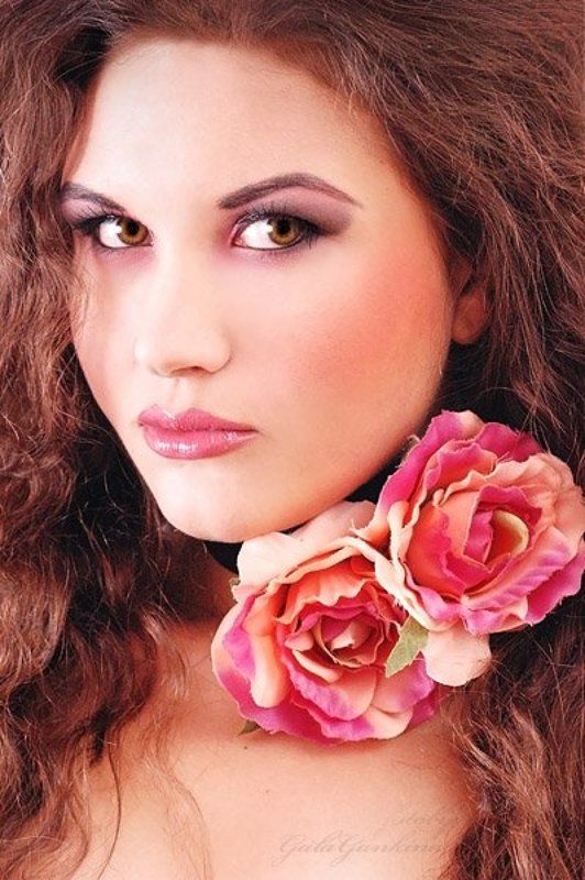 розовые розы фото превью