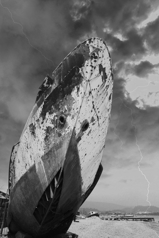 Стальная акула фото превью