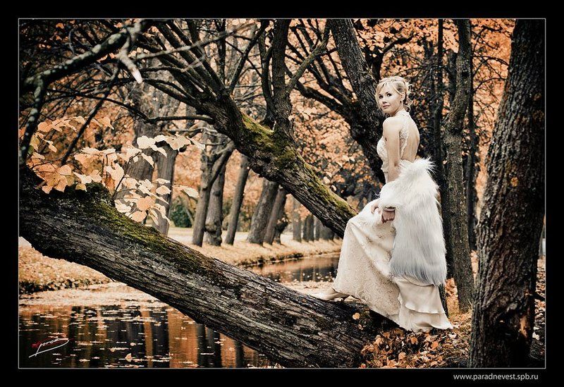 парад, невест, санкт-петербург, 2008 * * * * фото превью