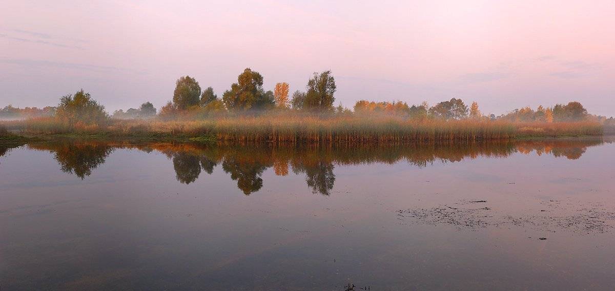 туман, утро, сентябрь, рассвет, Ildar