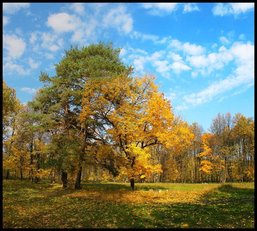 осень,листопад, VTORNIK Эдуард Николаев