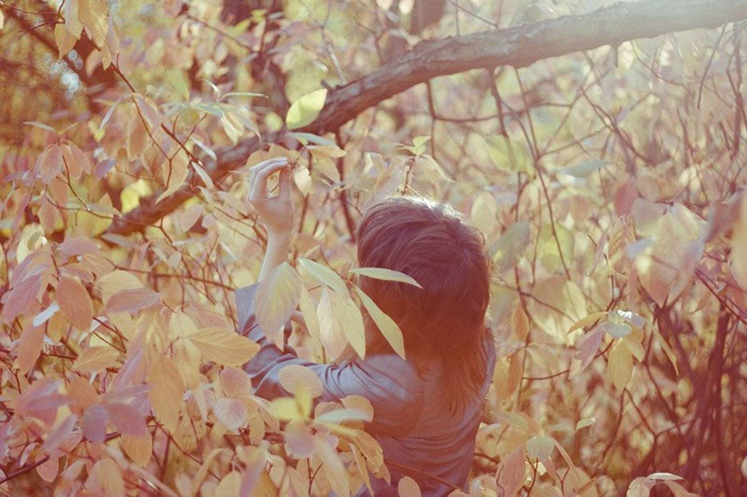 , Яна Денисенко