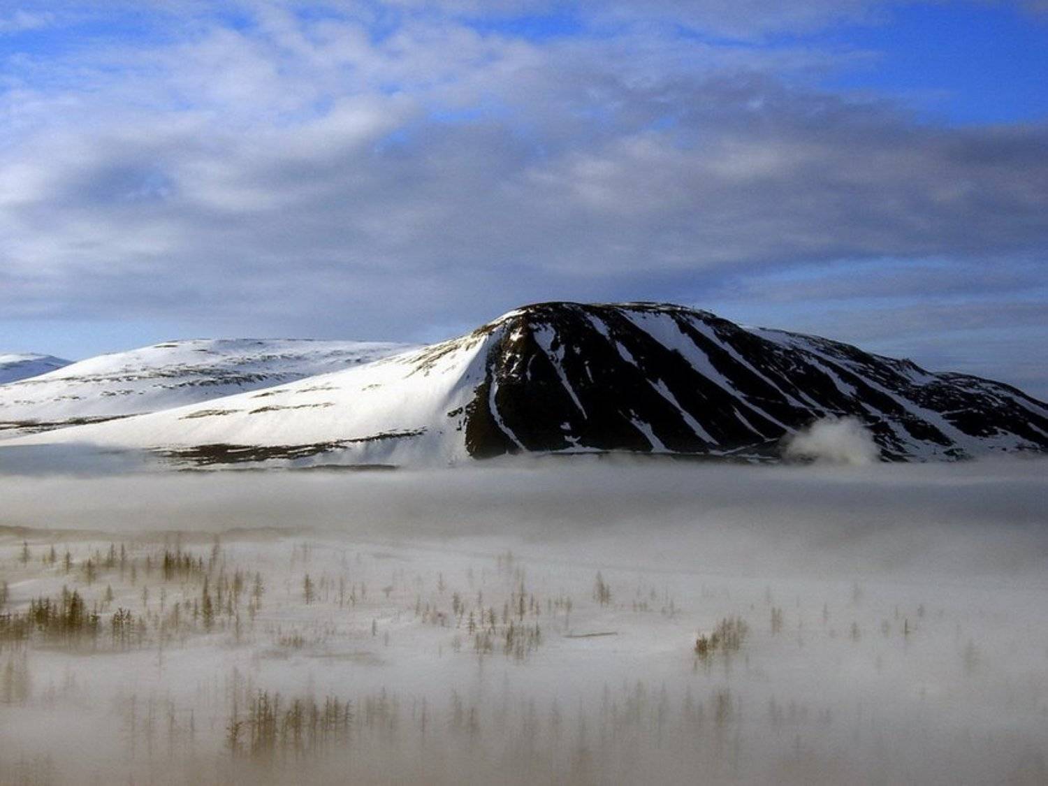 , аркадий ткаченко