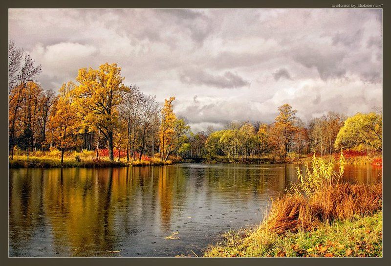 Моросит фото превью