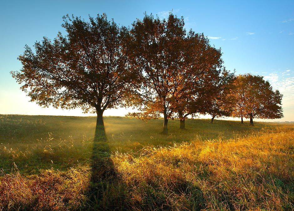 золотая, осень, Ildar