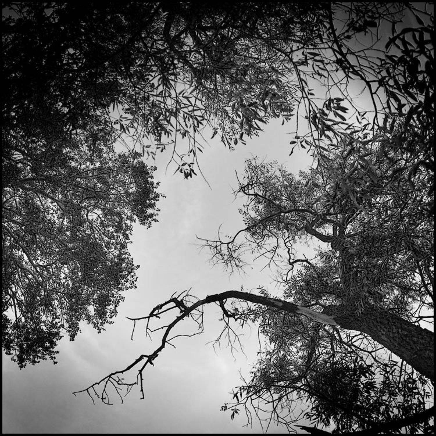 , Самолинов Андрей