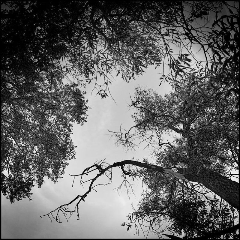 Живые и мертвые фото превью