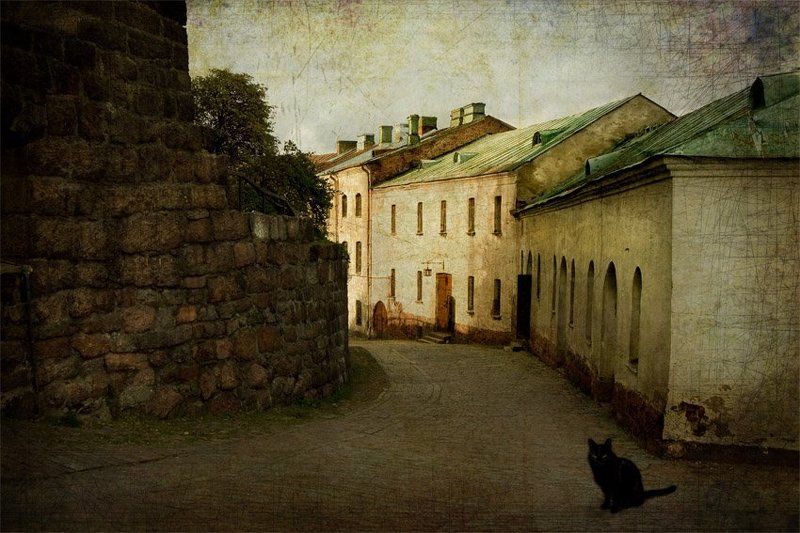 Кот на старой улице... фото превью