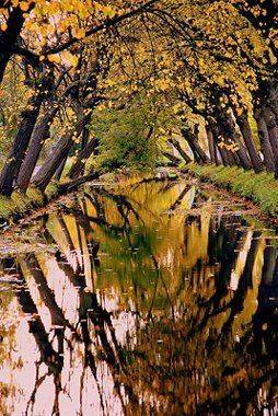 , ИГОРЬ МЕЛЬНИКОВ