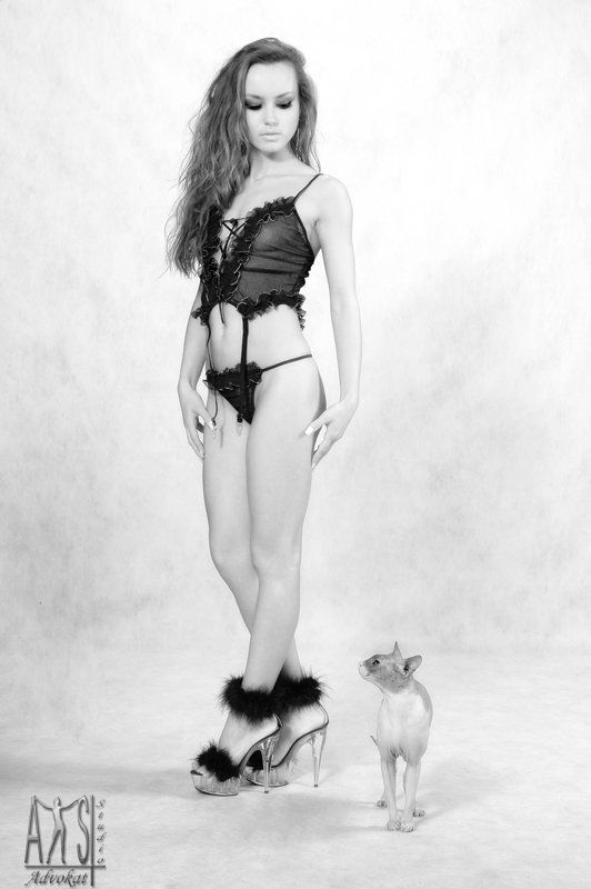 девушка, красивая, , фотограф, роман, большаков, advokatstudio, аквастудия Мррр... скажите, а у вас - наверху, погода такая же как у нас- внизу? фото превью