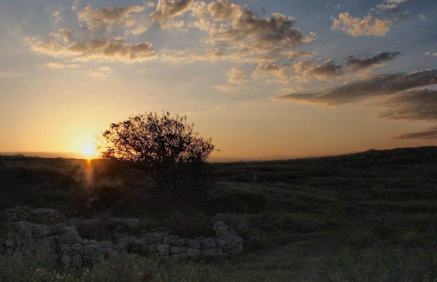 последний , луч, Safronoff Andrew