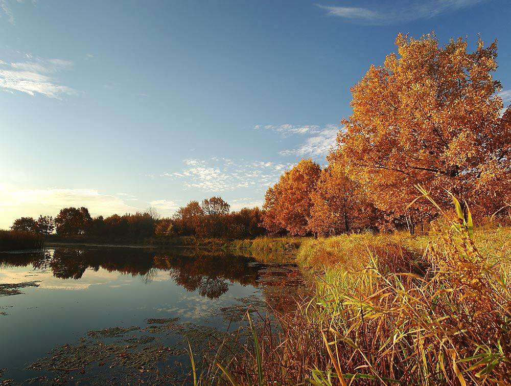 золотая, осень, 2008, Ildar