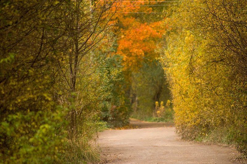 Продолжая движение. фото превью