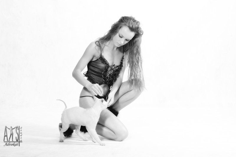 девушка, красивая, , фотограф, роман, большаков, advokatstudio, аквастудия Про родственные кошачьи натуры.... фото превью