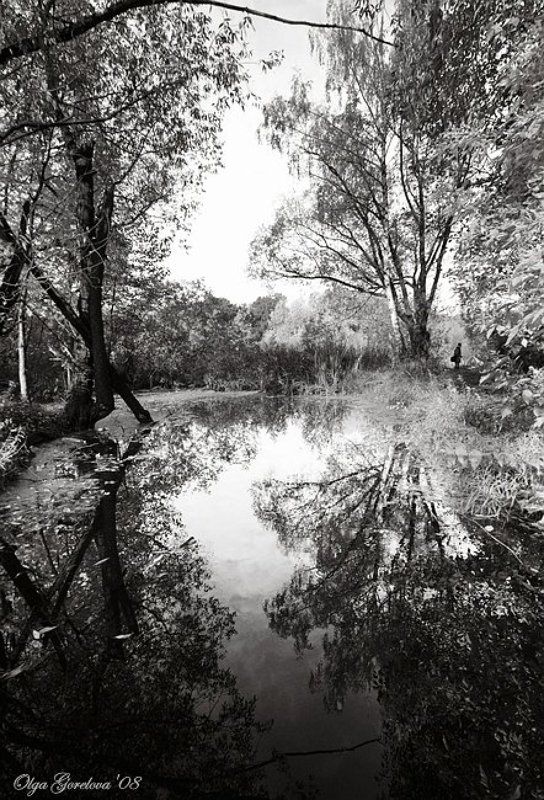 москва, парк, путник, осень Одинокий путник... фото превью
