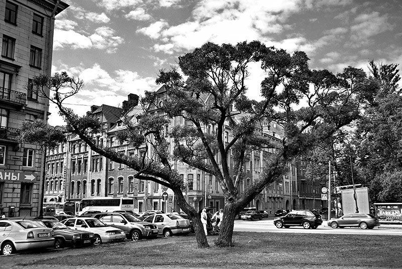 *** фото превью