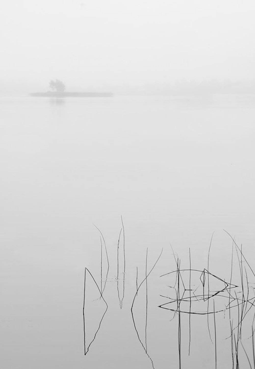 , Токарь Дмитрий