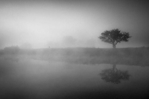 Лошадка, ау....