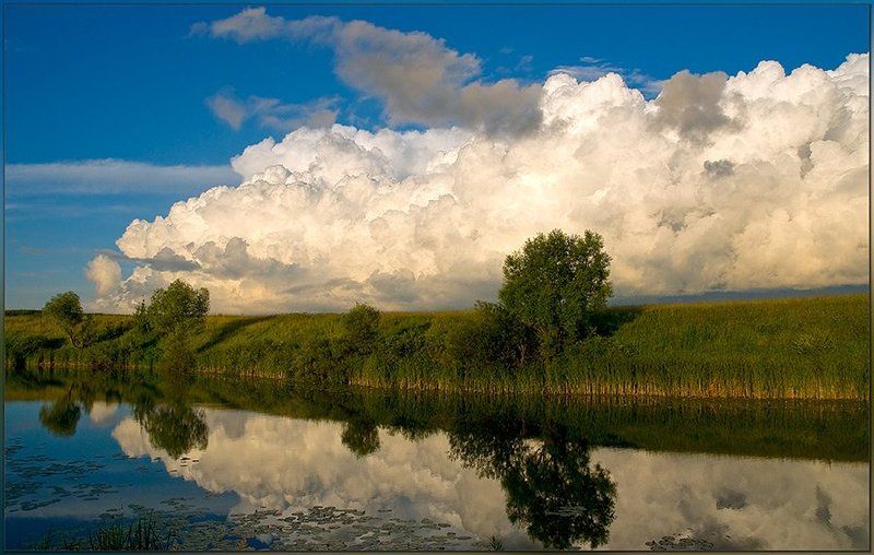 лето,озеро,деревья,облака Серия \