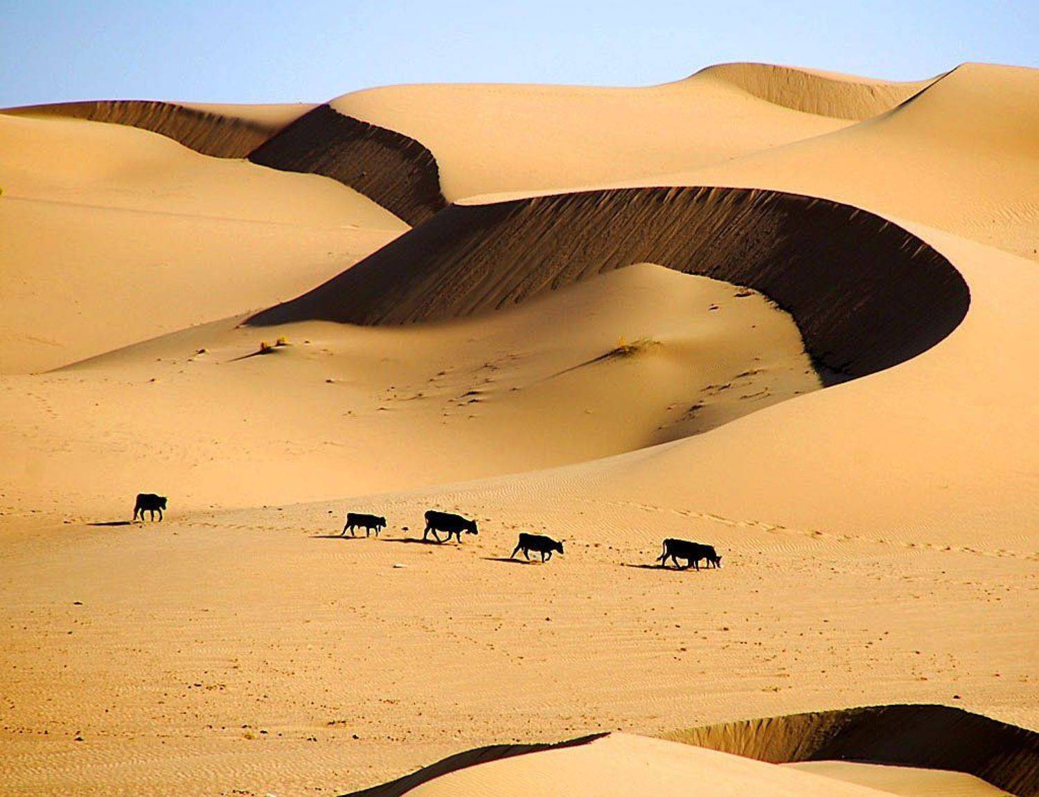 , ВладимирКо