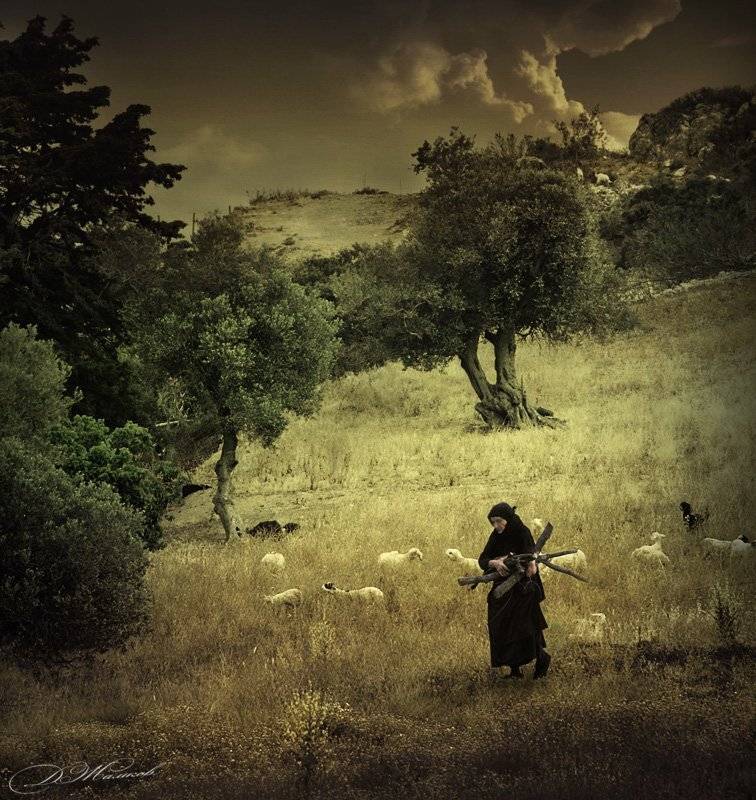 dmitry, zhamkov, www.zhamkov.com, landscape, genre,  дмитрий, жамков, Дмитрий Жамков