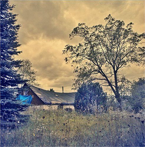 Forgotten and abandoned....