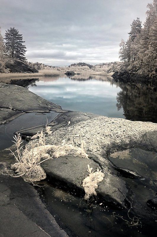 IR Ладога фото превью