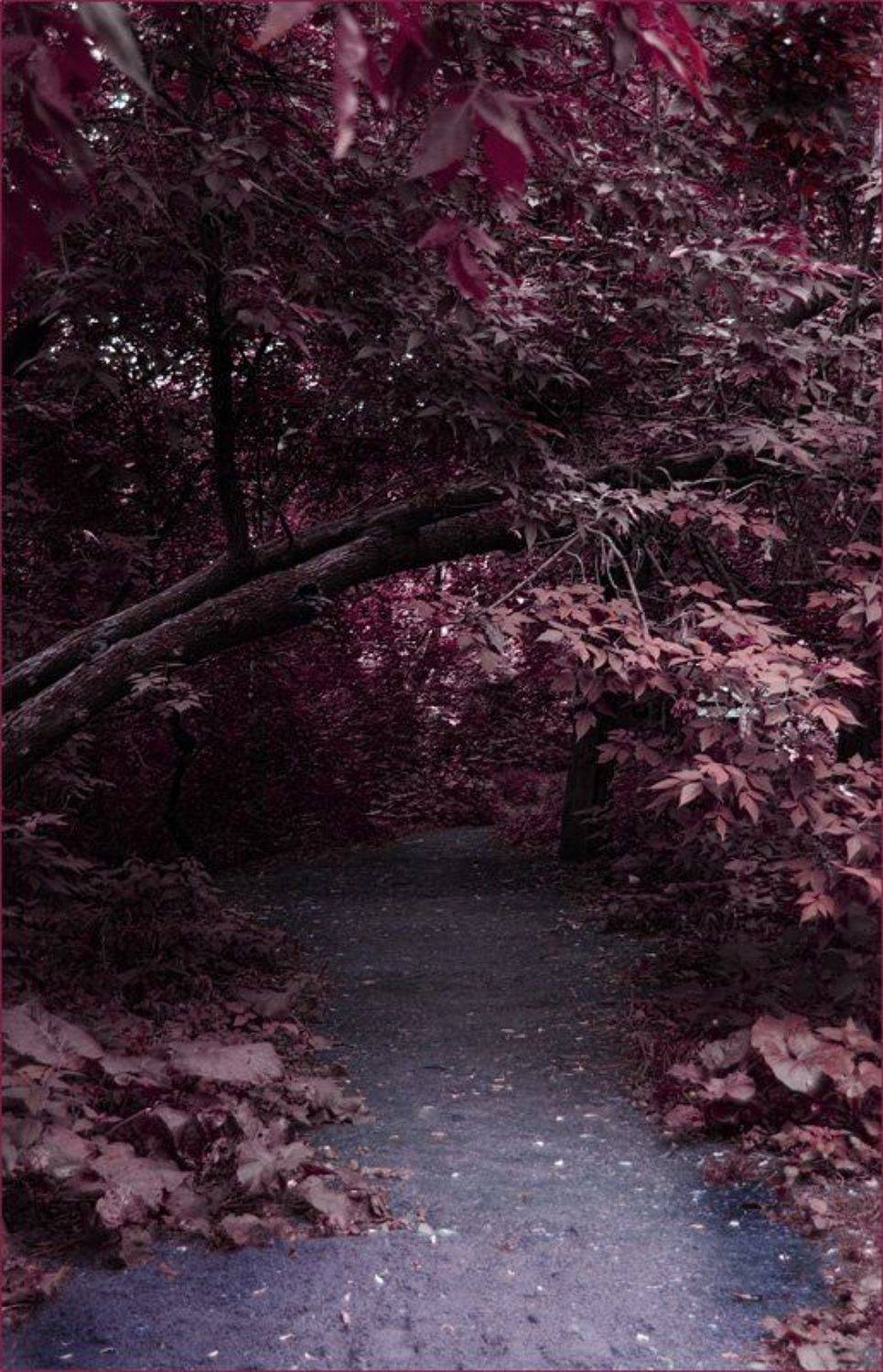 crimson, photoshop, Д. Вайна