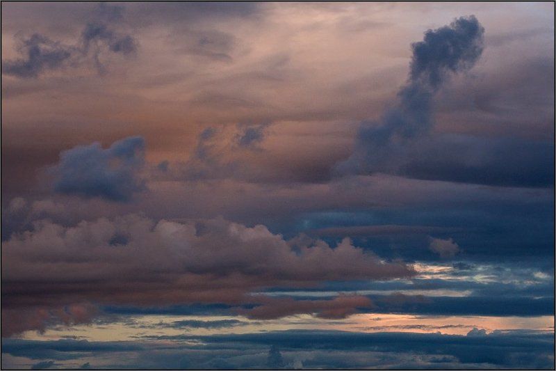 Sky Fancy (4) фото превью