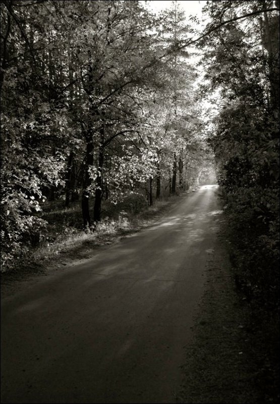 Через лесок, за бугорок ... фото превью