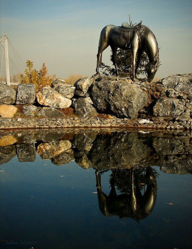 лошадь, конь, водопой, красноярск  фото превью