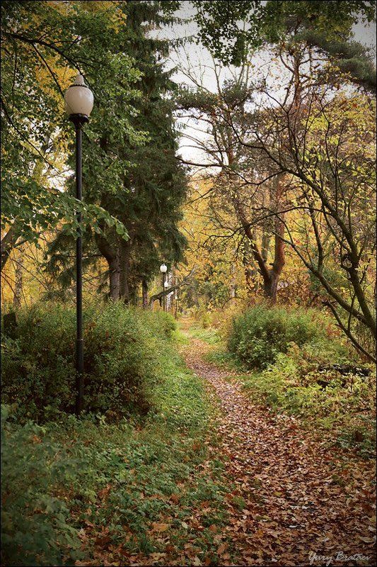 петергоф, осень  фото превью