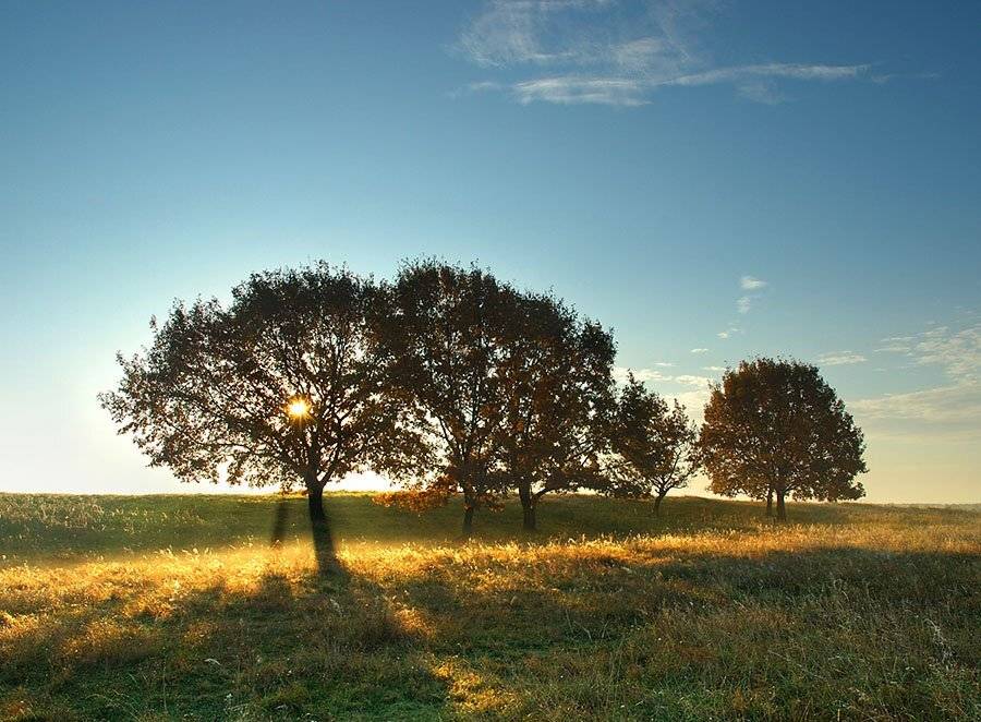 золотая, осень, Ildar