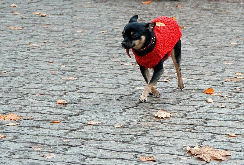 , Наталья Захарова