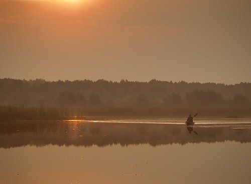 ***