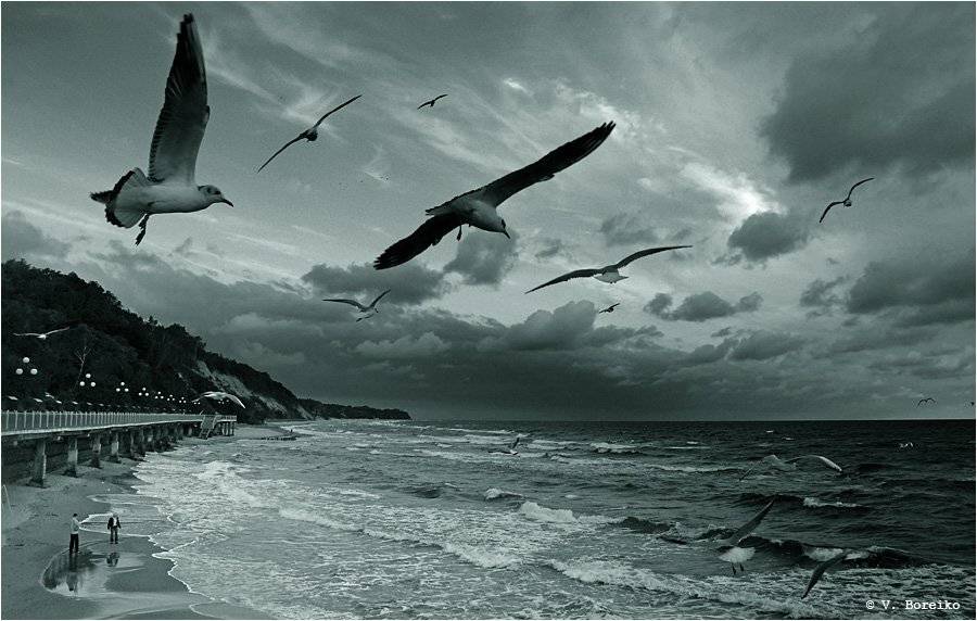 балтика, Вадько