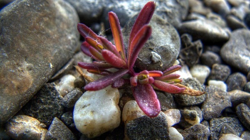 Пот тяжестью мира фото превью