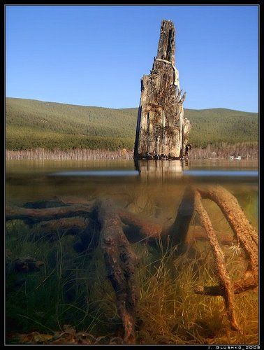 В полводы