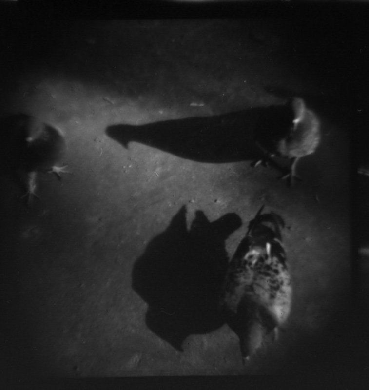 *** фото превью