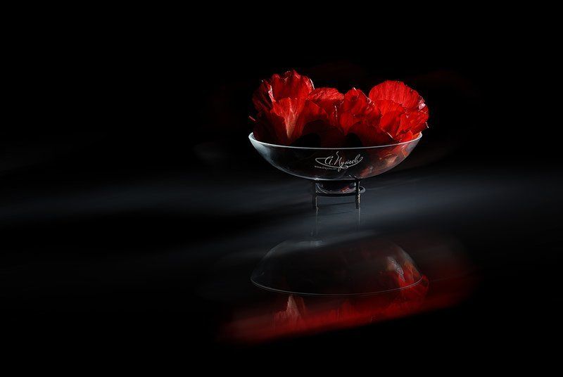 wallpaper Wallpaper фото превью