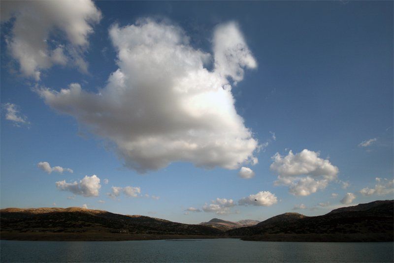 птички фото превью